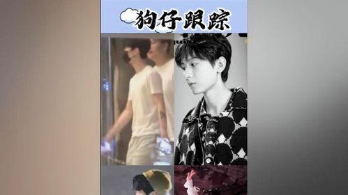成毅狗仔爆料视频播放大全,揭秘明星幕后生活瞬间