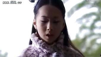 傲啸江湖全集在线观看,江湖风云再起，全集在线观看